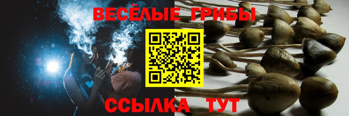 Псилоцибиновые грибы Magic Shrooms Тосно